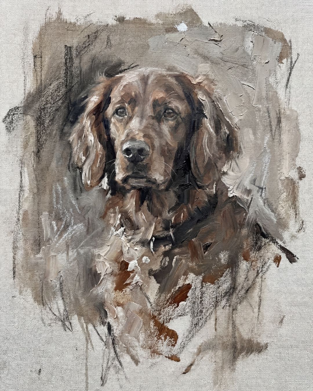 Painted pet portrait of a spaniel style dog, soft brushwork finish