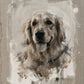 Painted pet portrait of a golden retriever style dog, soft neutral tones