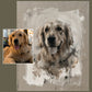 Painted pet portrait of a golden dog, soft painterly oil style
