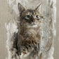 Painted pet portrait of a cat, soft muted oil painting style
