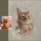 Painted pet portrait of a ginger cat with before and after comparison photo