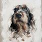 Painted pet portrait of a dog in soft muted oil painting style, close up
