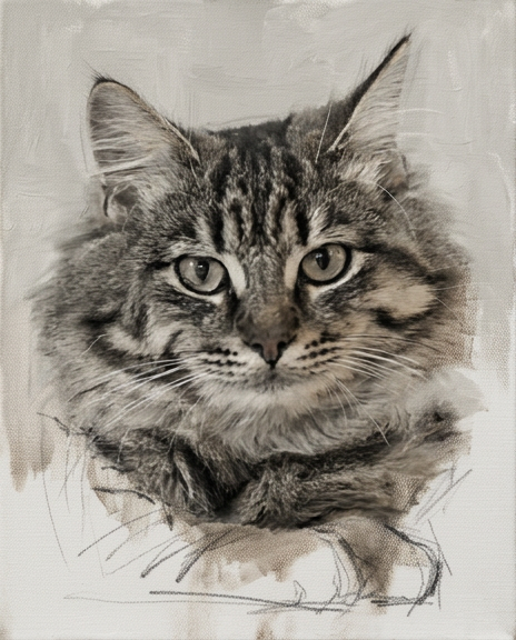 Painted pet portrait of a cat in muted neutral palette, oil painting style 