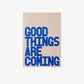 Good Things | pAInt collection | - burnt peach.