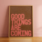 Good Things | pAInt collection | - burnt peach.