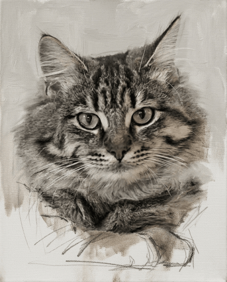 Painted Pets - burnt peach.