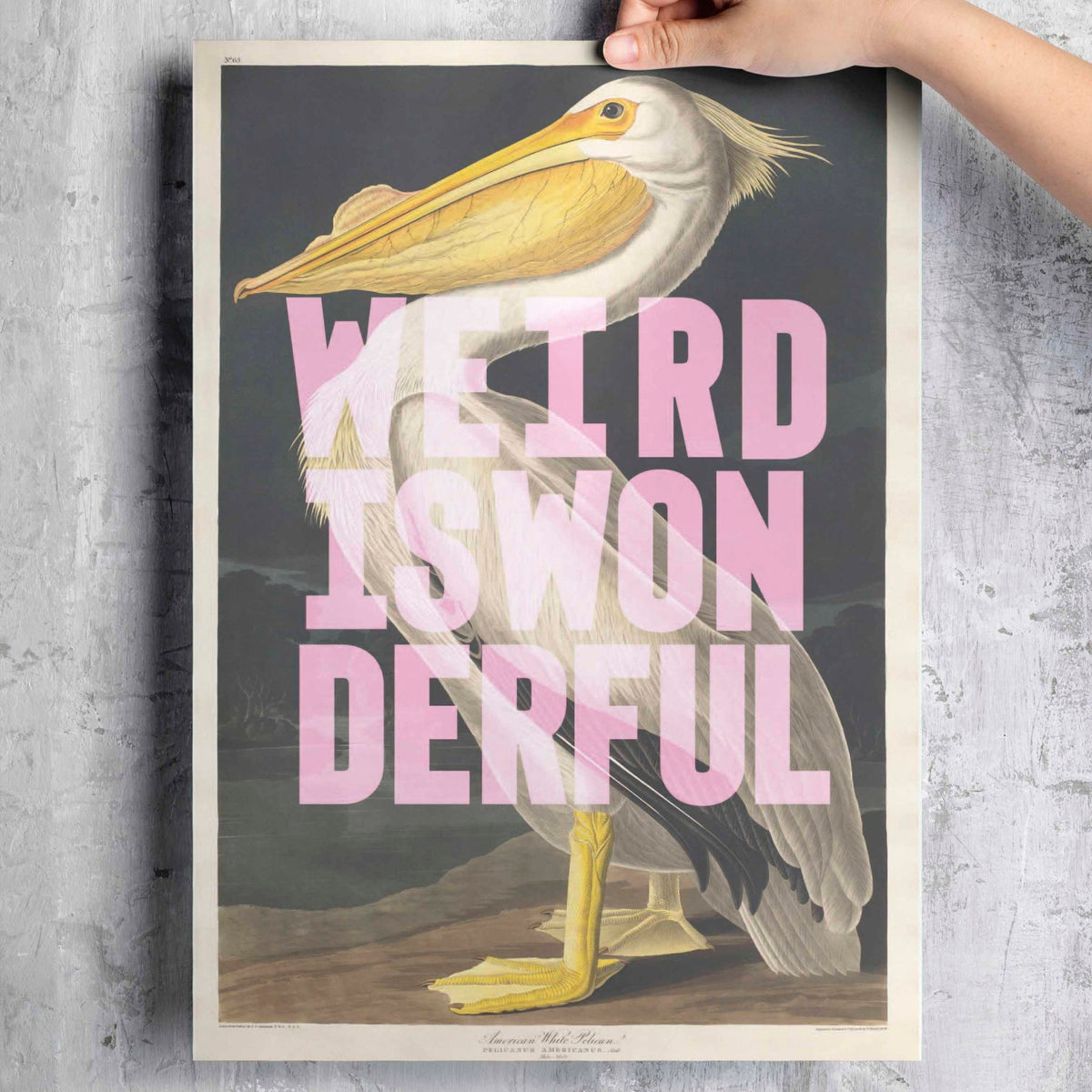 WEIRD IS WONDERFUL - burnt peach.